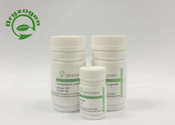 80kg/month recombinante Proteïnase K voor RNAextractie