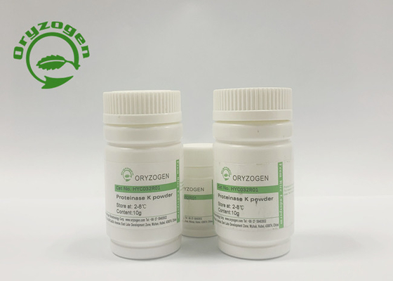 De gist leidde Recombinante Proteïnasek Hoge Activiteit 40 U/af mgP