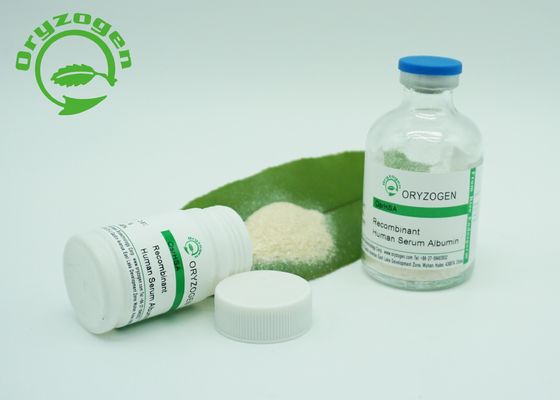 Oryzogen 65 Recombinante KD HEEFT Poeder voor Vaccin CAS 70024 90 7